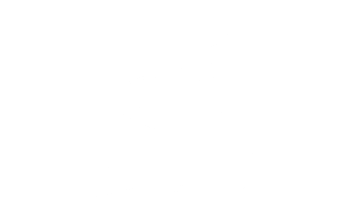Silverback-Partnership